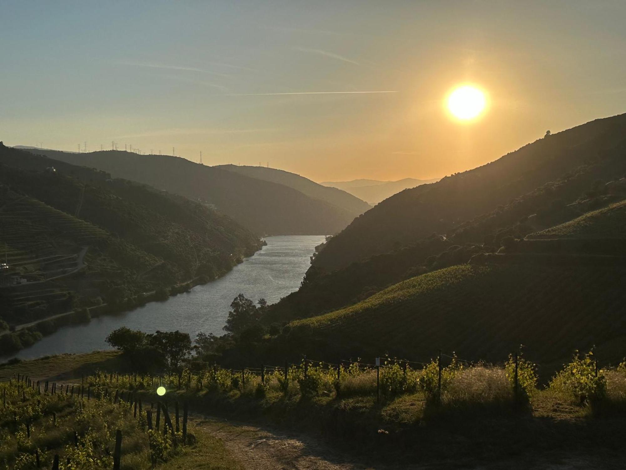 Pmdourovalley Peso da Régua Buitenkant foto