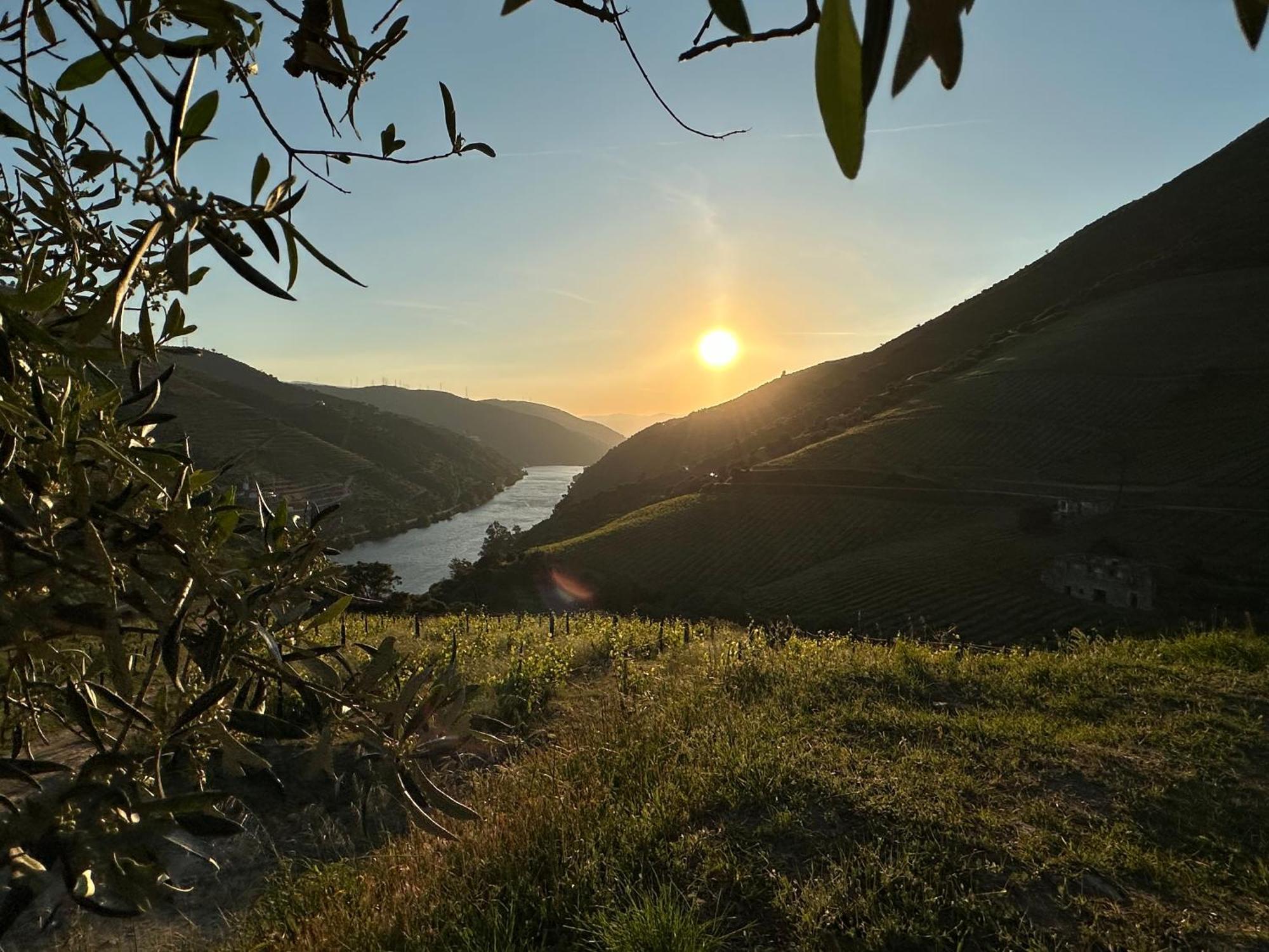 Pmdourovalley Peso da Régua Buitenkant foto